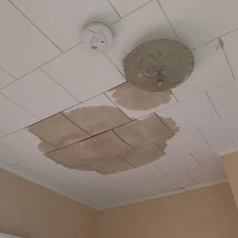Ceiling Water Damage Repair in Minster, OH