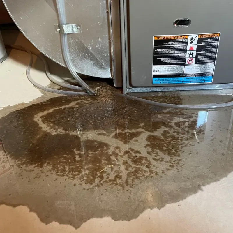 Pipe Burst and Leak Restoration in Minster, OH