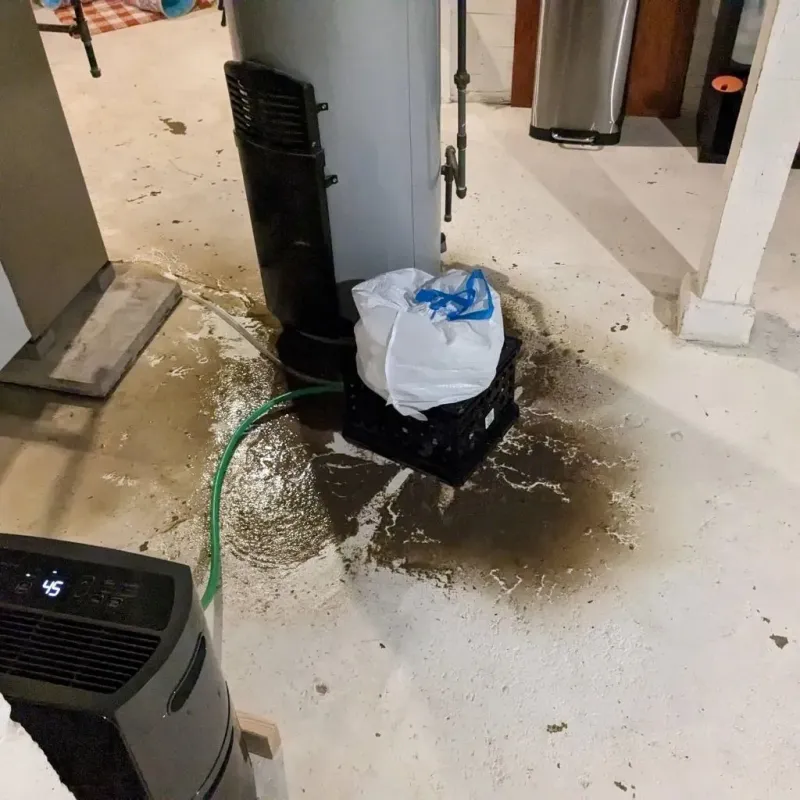 Sewage Backup Cleanup Service in Minster, OH